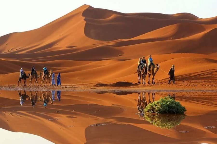 10 days desert tour from tangier