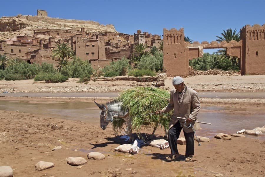 10 days desert tour from tangier
