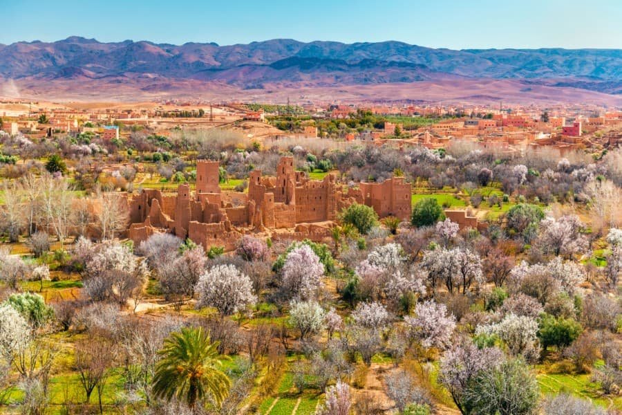 10 days desert tour from tangier